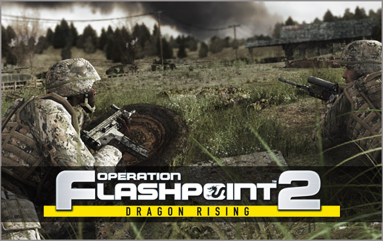 Operation Flashpoint 2: Dragon Rising (RUS/3600мв)