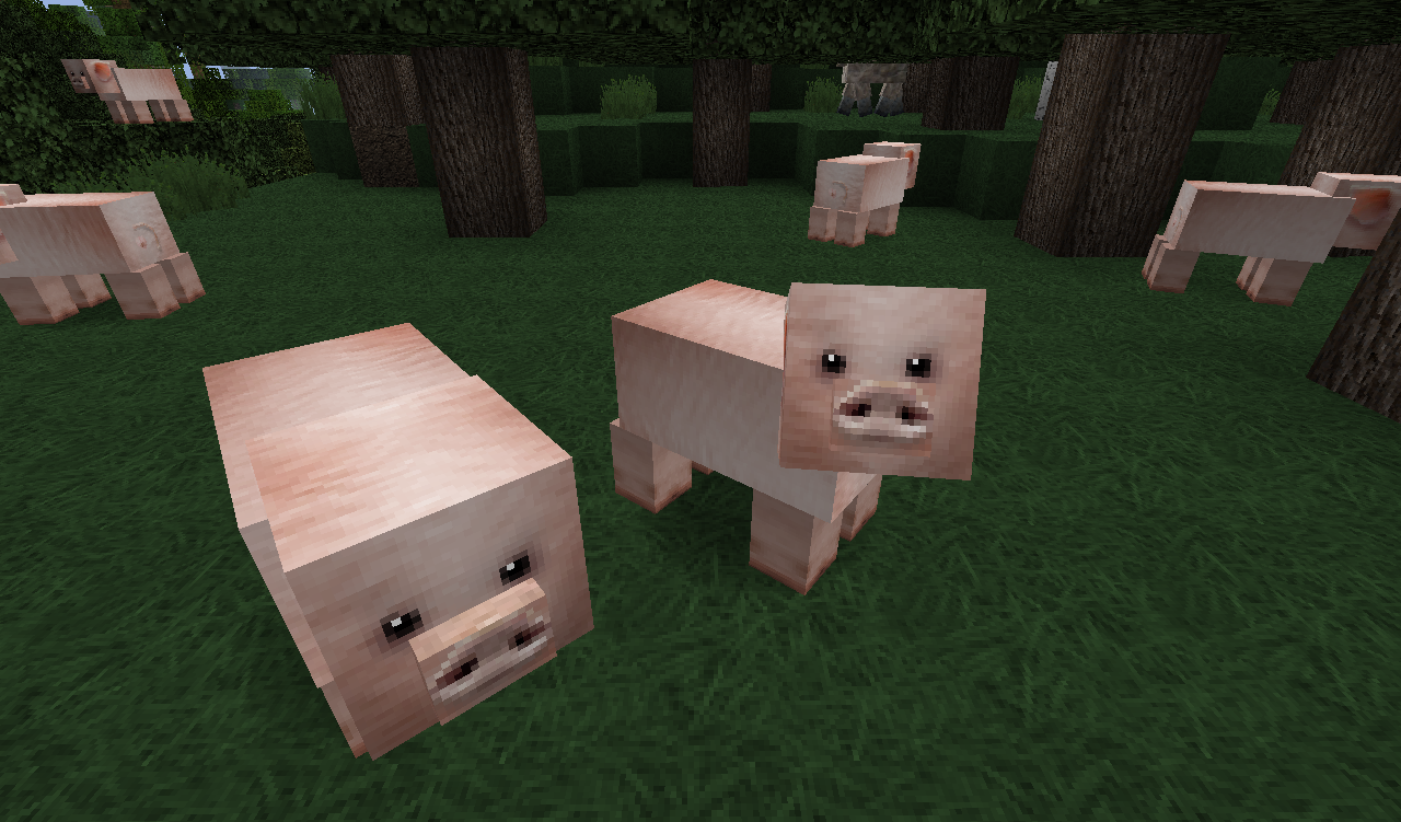 [1.2.5][x64] Settlecraft Texture Pack