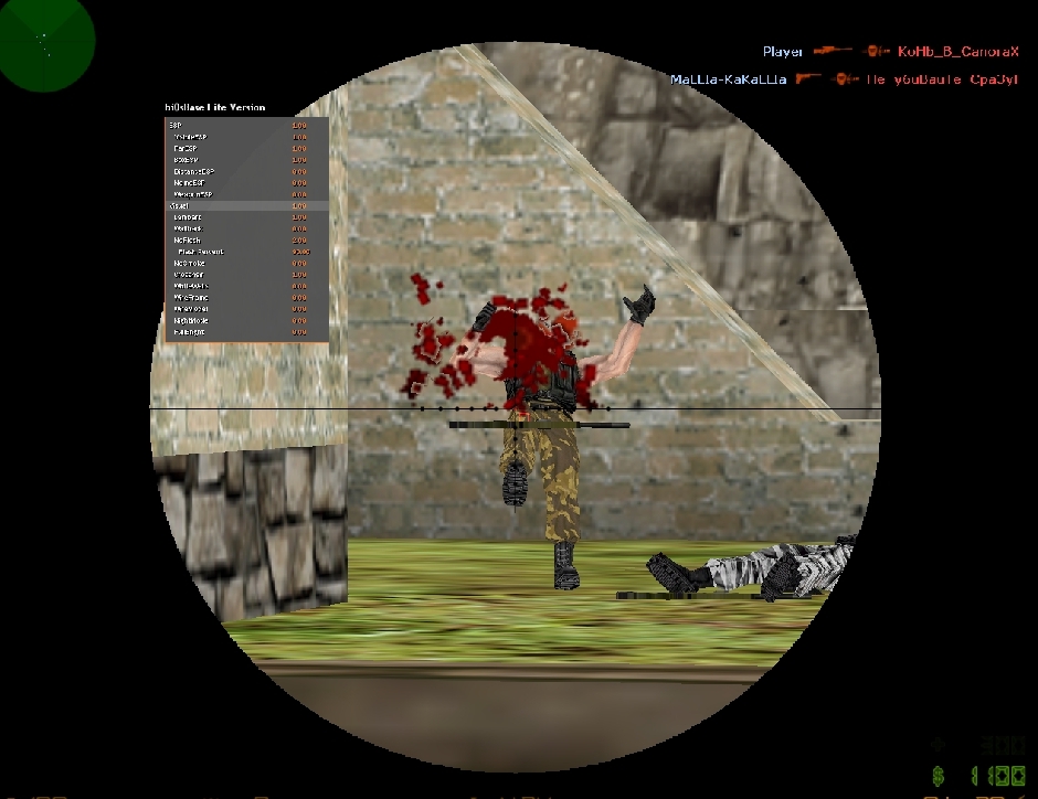 Скачать NoFlash, NoSmoke, ESP, Crosshair для CS 1.6